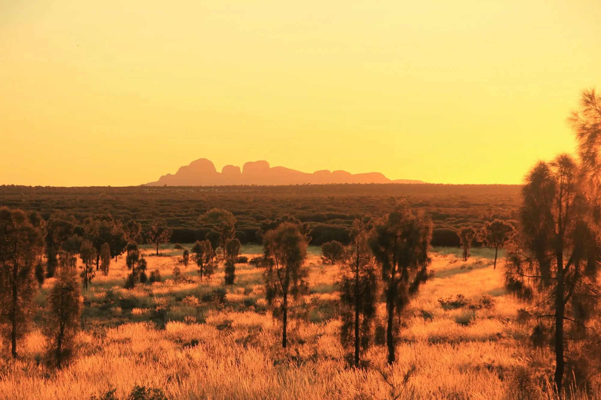 Empty outback highway stretching to the horizon at sunrise in the Northern Territory, red dirt verges